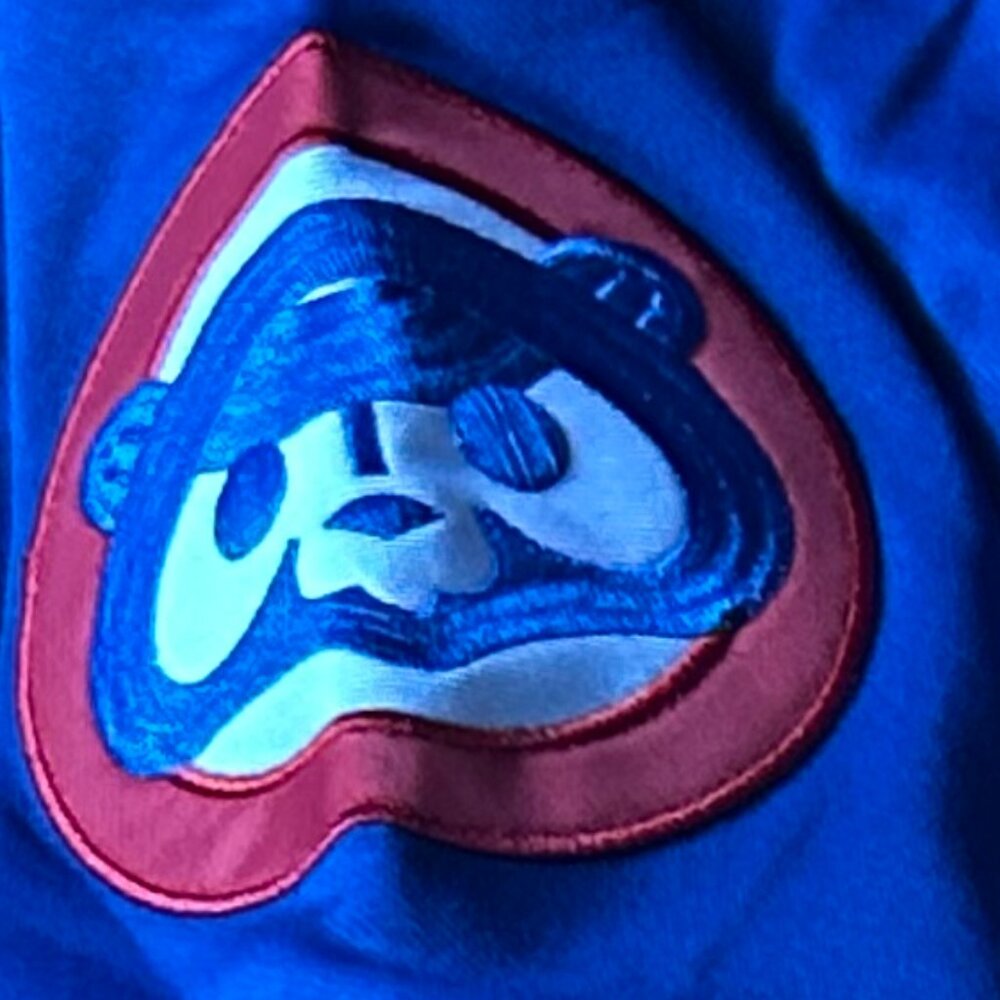 1980s CHICAGO CUBS RYNE SANDBERG Men's JERSEY M,L,XL,2X by Mitchell & Ness - Picture 5 of 9